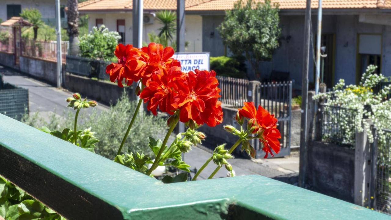 ペダーラ Grotta Del Monaco Bed & Breakfast エクステリア 写真