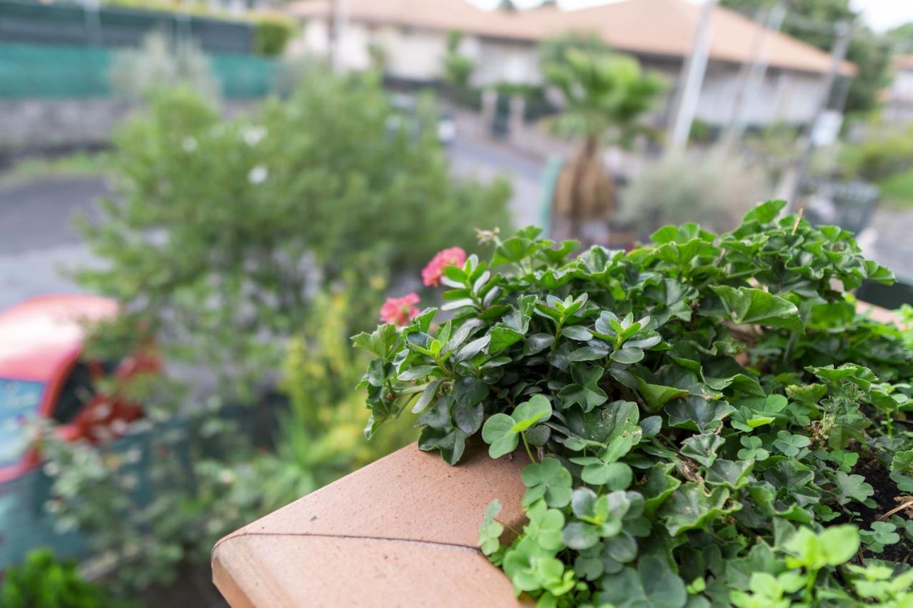 ペダーラ Grotta Del Monaco Bed & Breakfast エクステリア 写真
